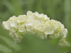702D60AD-A696-4523-9857-9E31CF1ADC5E