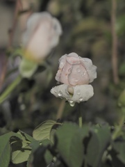 FD88141C-8436-46A9-B04F-435598491C49