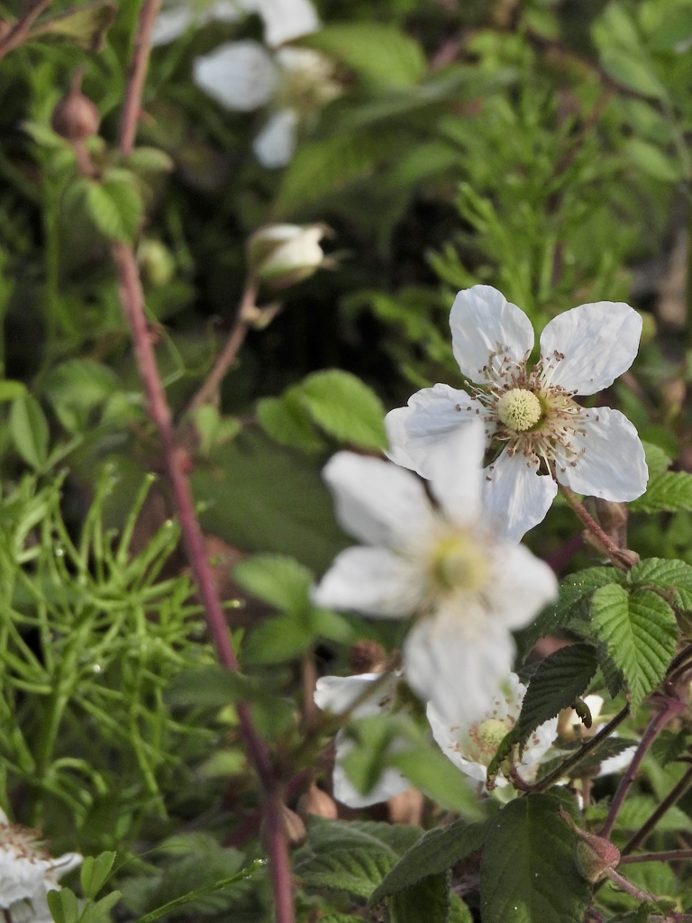 3221738D-7EC5-4D7A-AEEC-AD2342B26423