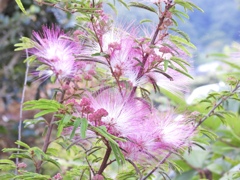 419D1426-7CE5-4675-B38E-5303FE1BDDD6
