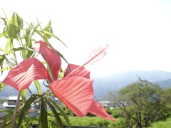 045A96A0-BBEF-42D2-9ED5-97D3FFB02177