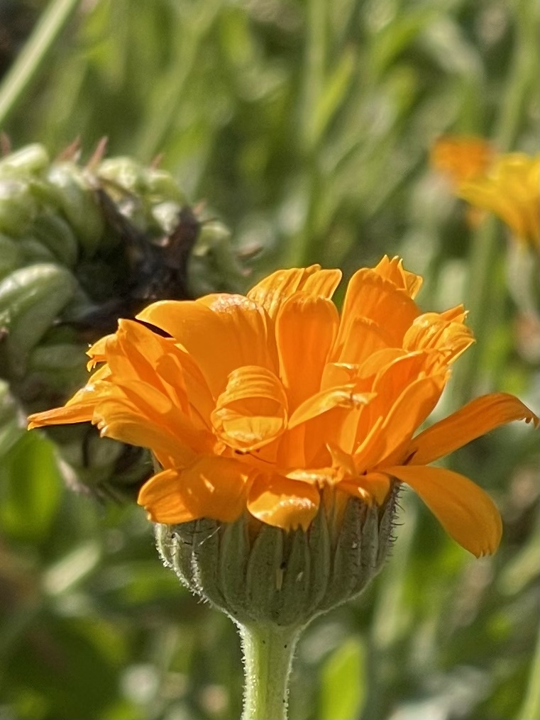 B22DD956-5D47-4A67-8C81-80B1656B393C