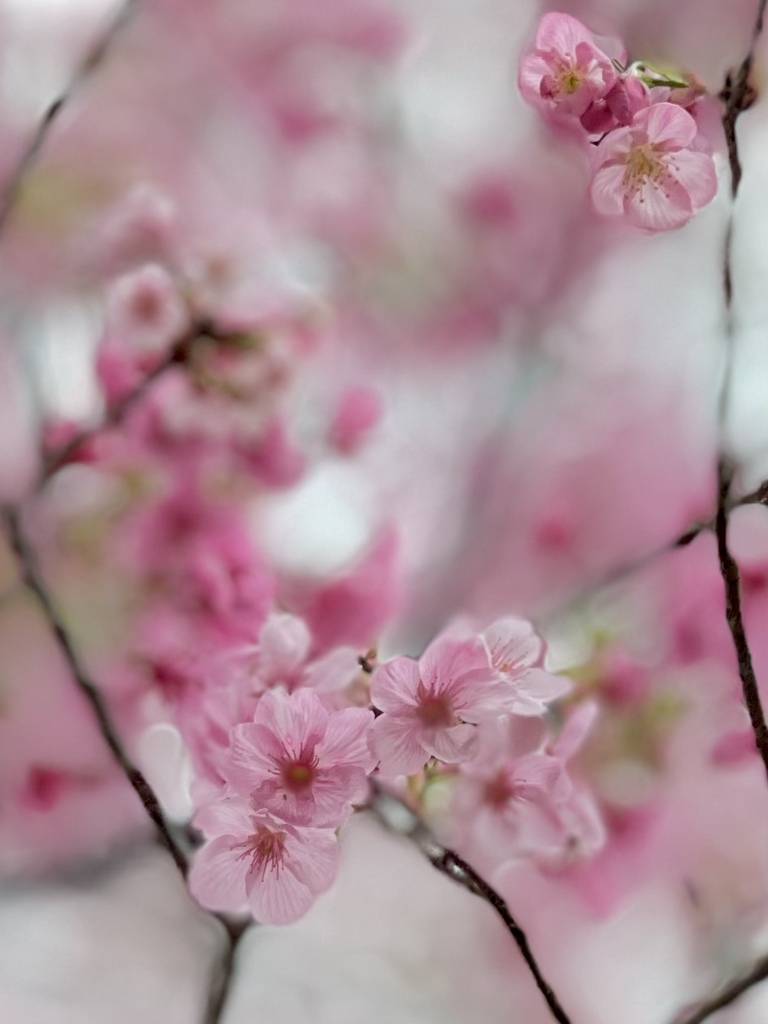 FDEA52CD-25E6-470F-B013-EC05B19EFCC5