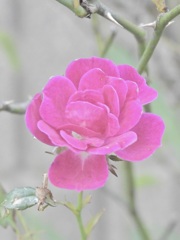 DDF3F5C0-9B38-46F8-A938-D79926BDFBE1