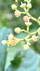 11AB87C9-97E5-4242-84CF-86AA6208BAA8