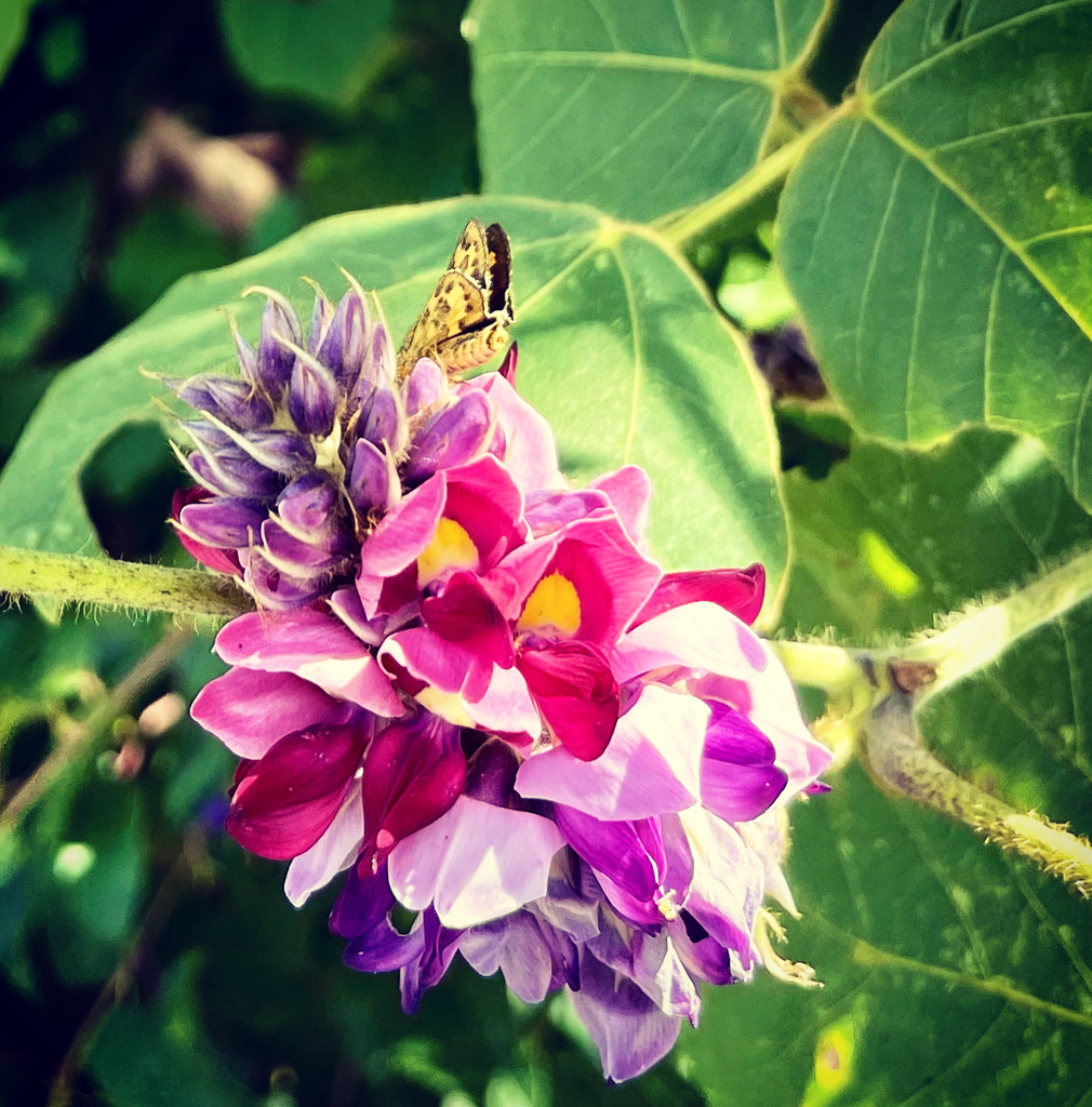 13D54DEE-7209-4773-A1A5-3ECCD7864A51