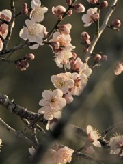 DE58A6D3-A025-49CA-B49A-DD943A0177CD