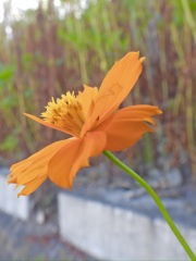 7DEB736C-2E57-4F40-A813-038986A23D71