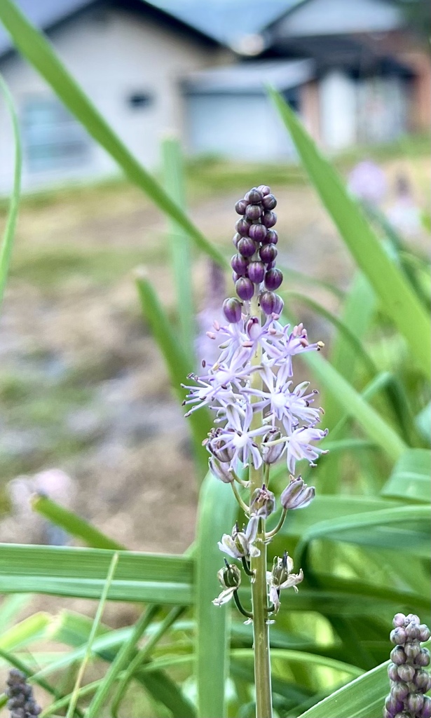 ADF02CB8-A2D5-4DB6-837E-FA04D6E9ADC6