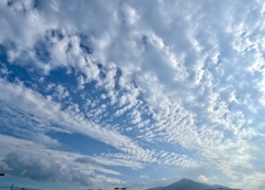 5B80BA93-63B3-4469-A575-DE0F5E187BA0