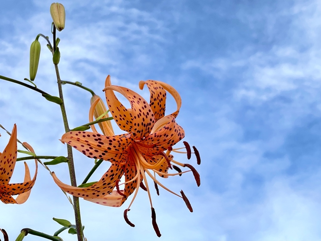 E56F5193-9CF7-402E-A963-A09F880558B4