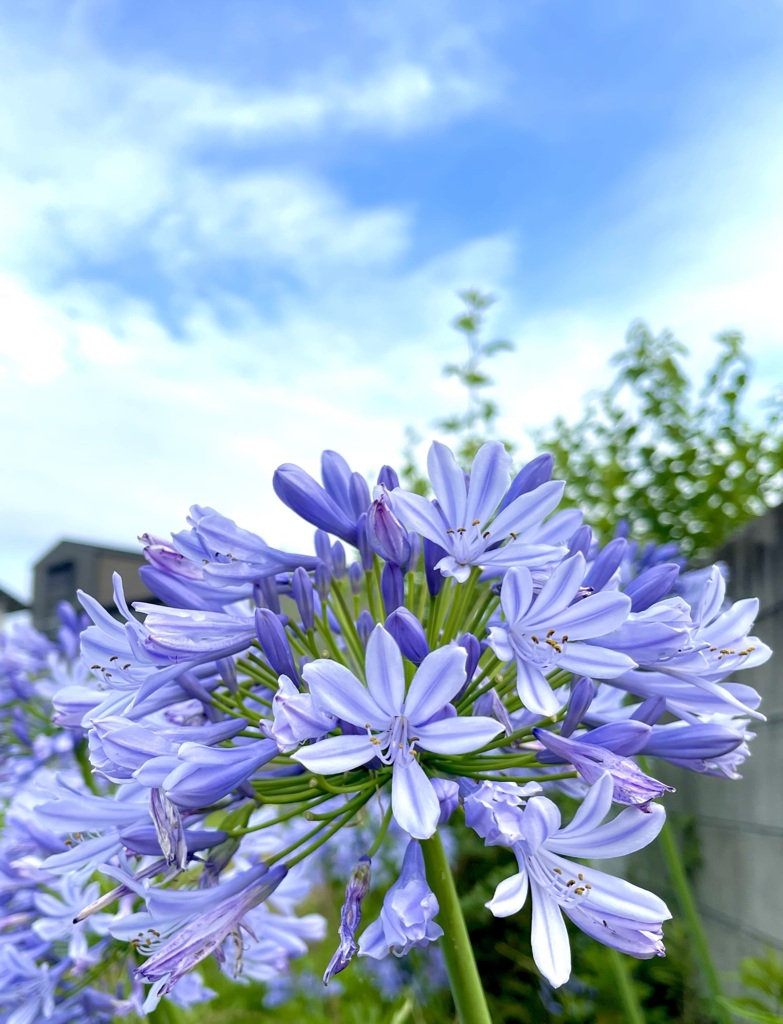 4024010F-E0F5-4316-AD31-BBF6C36ACE15