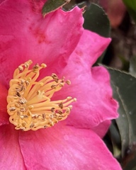 001AE166-833C-4038-A44E-66679E83F3FD