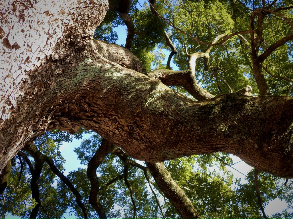 C195B779-7BEE-42A6-888D-F3BD701EBB41