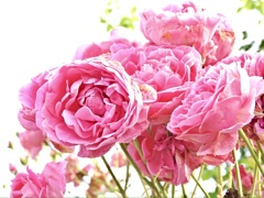 AB0F3B4C-FC49-4C62-AD5E-5C7E24DFD717
