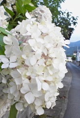 5E886670-C8B9-45AA-A25E-E2C839DA89F3