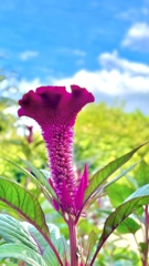 943345EF-A59D-4DFC-B126-2B182799BD3F