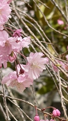 5323410E-A58D-4738-B70E-323744E19CA4