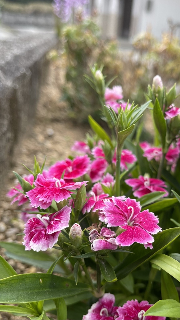 F5CAB97E-1E91-4A47-9396-88B46175D439