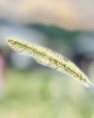 E974A600-9AFC-49A2-BBF7-7810636EDCB5