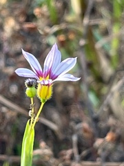 F39D2800-4F98-495D-9E51-840A13B5A324