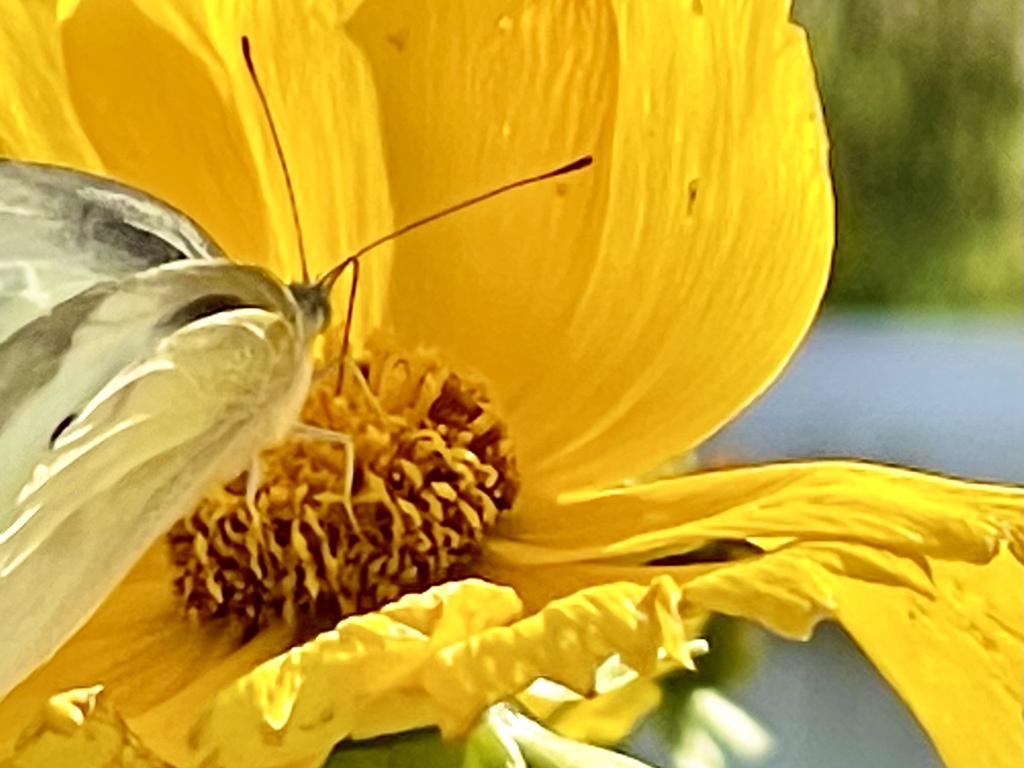 216C9D7A-FAB7-4D39-85D5-B15EE064B6A0