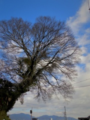 992FD851-3C24-4092-9956-4E7B966A90CA