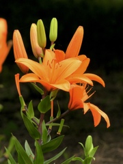2A208379-8110-450C-BEE6-9446571E6F1C