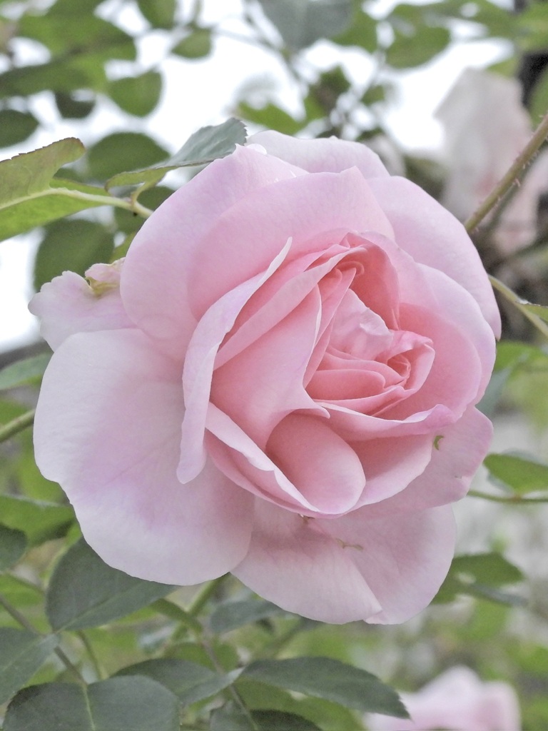 F25F3789-9352-42CF-BEBD-07AAE75D2B2E