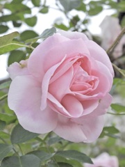 F25F3789-9352-42CF-BEBD-07AAE75D2B2E
