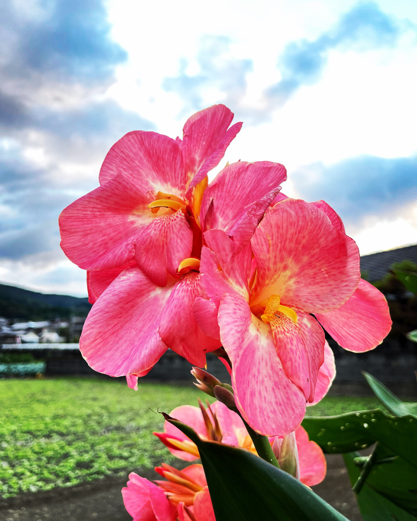 4DD0340C-F941-44E6-B4A1-0E6B95E99589