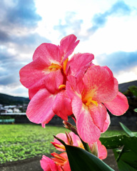 4DD0340C-F941-44E6-B4A1-0E6B95E99589