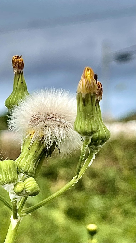 C0A439B1-9322-43AC-B2EB-7AF52C0F3679