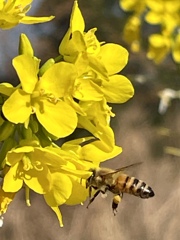 EEBE58F5-8232-4B73-AC01-069102864982