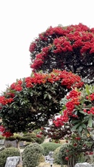 FA928218-73D2-4B84-9DF2-4DBD86327453