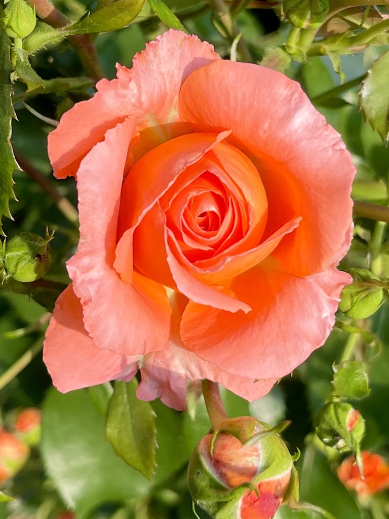 F2E90AA0-39D9-4792-B630-226A78569FC9