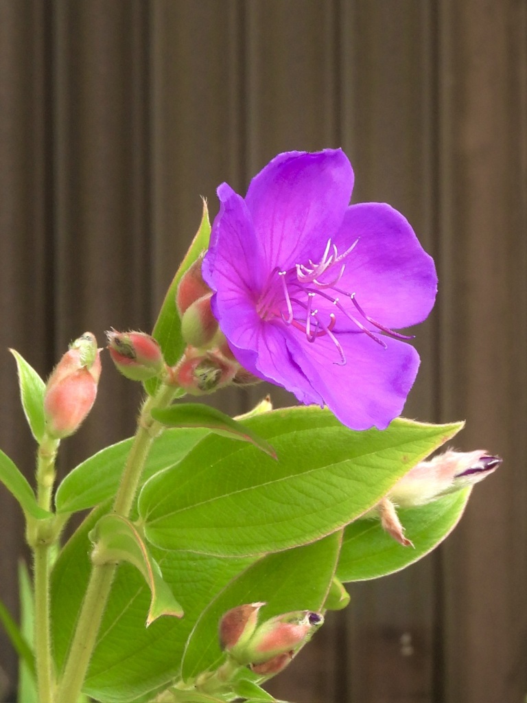 2747D103-8BE1-4671-9612-FF6177B30A1D
