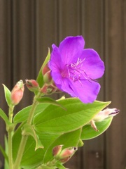 2747D103-8BE1-4671-9612-FF6177B30A1D