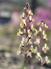 D123BFAD-B674-4C5F-9AD5-78ED62DCDF85