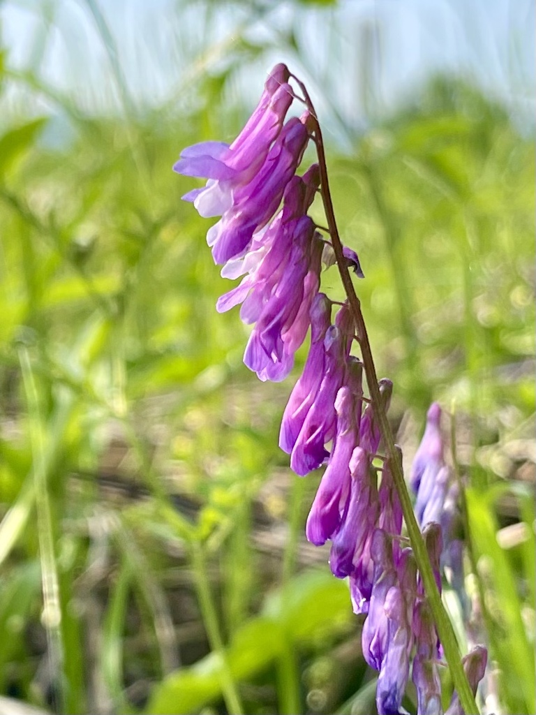 76C987B6-F02F-465A-9099-310C39F7ABDD