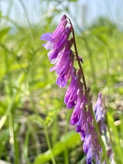 76C987B6-F02F-465A-9099-310C39F7ABDD