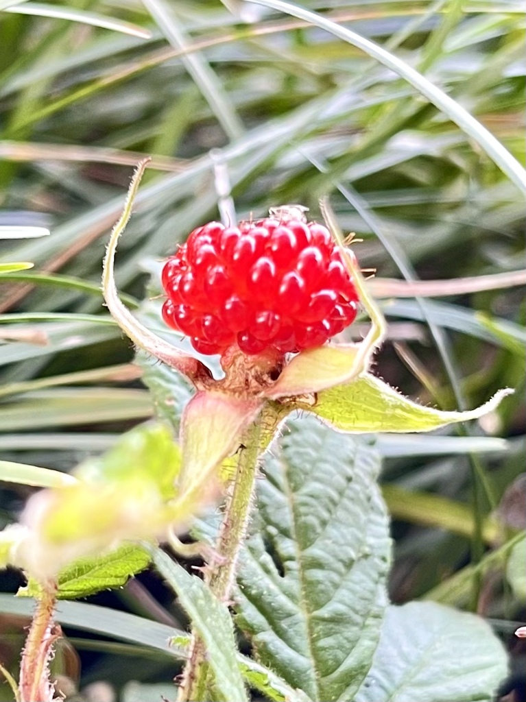 2D4EB713-F994-48ED-8264-373A840063C8