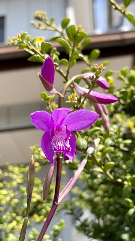 BBA7FD6B-F71A-49B8-850D-F2CDB81650C8