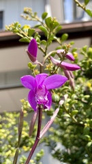 BBA7FD6B-F71A-49B8-850D-F2CDB81650C8