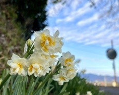 83FEA3A3-7B4B-4869-82E5-7CC95757746B