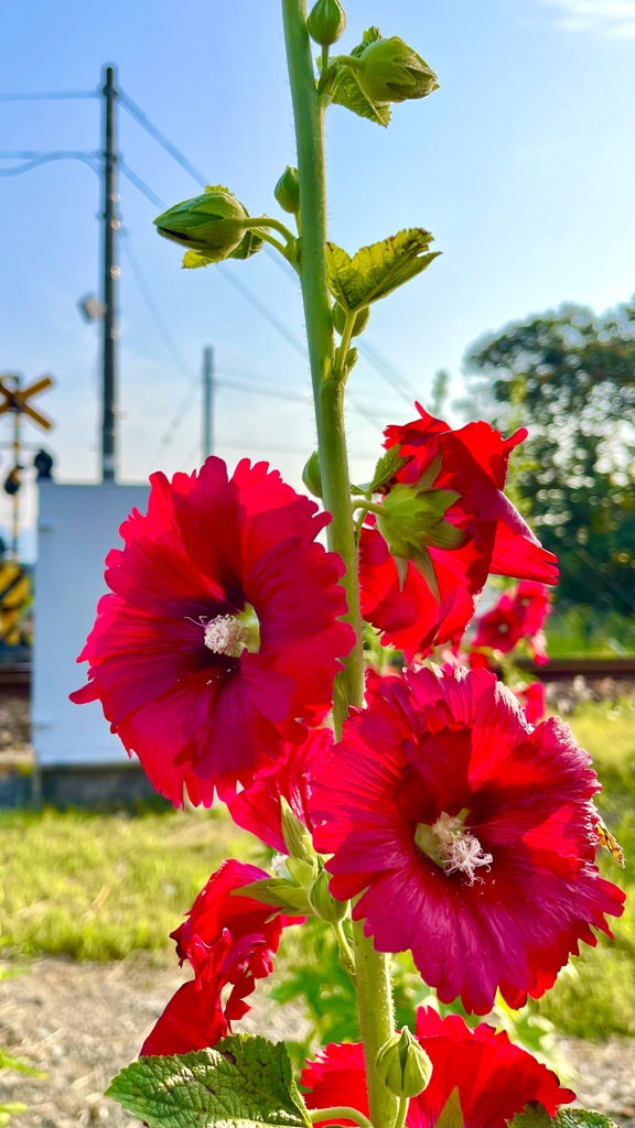 084B3663-416E-44B3-A5E7-6CB280EDE1DF