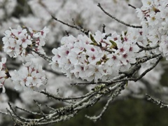 D22AB83F-082D-4D41-9F5F-7B31650A573D
