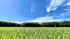 D92DF2B1-7A52-416F-9D9F-94F32ED41F79