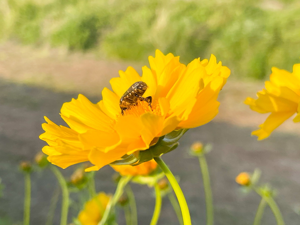 34EE39CD-2243-4640-999E-3EDFD27FF2F4