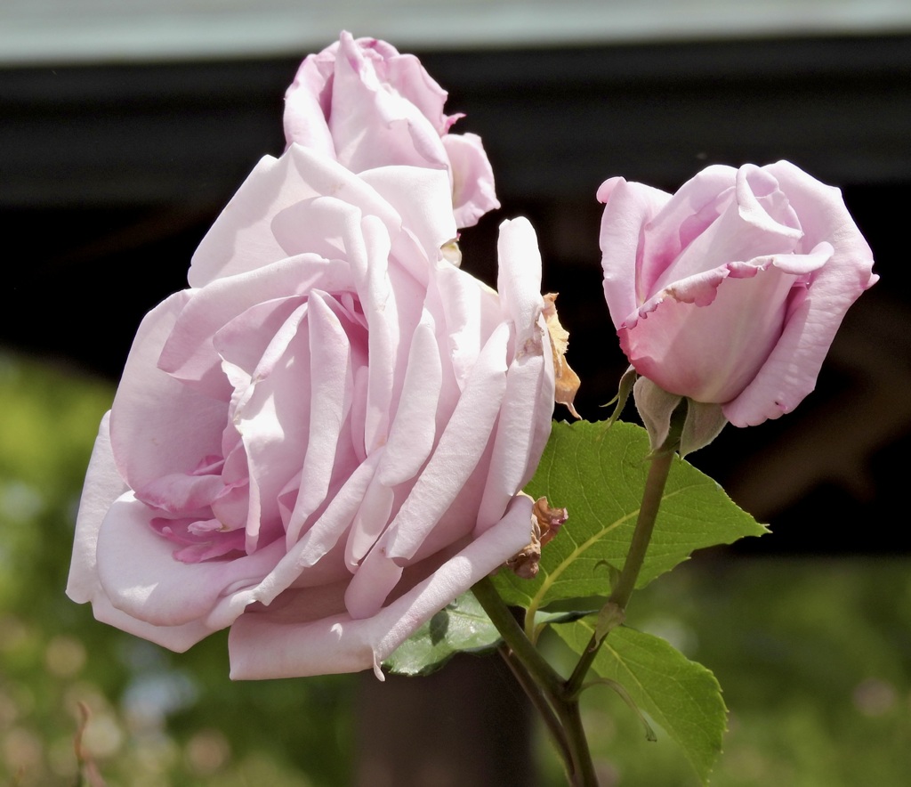 6F0778B9-ED43-4DB2-AB49-501E2AFC31B6
